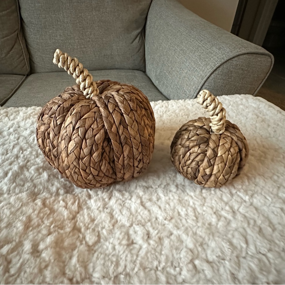 TARGET Set of Two Woven Pumpkin Decor